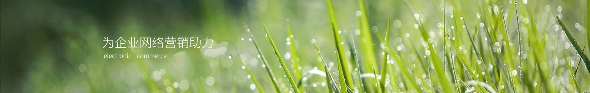 еǽ޹˾